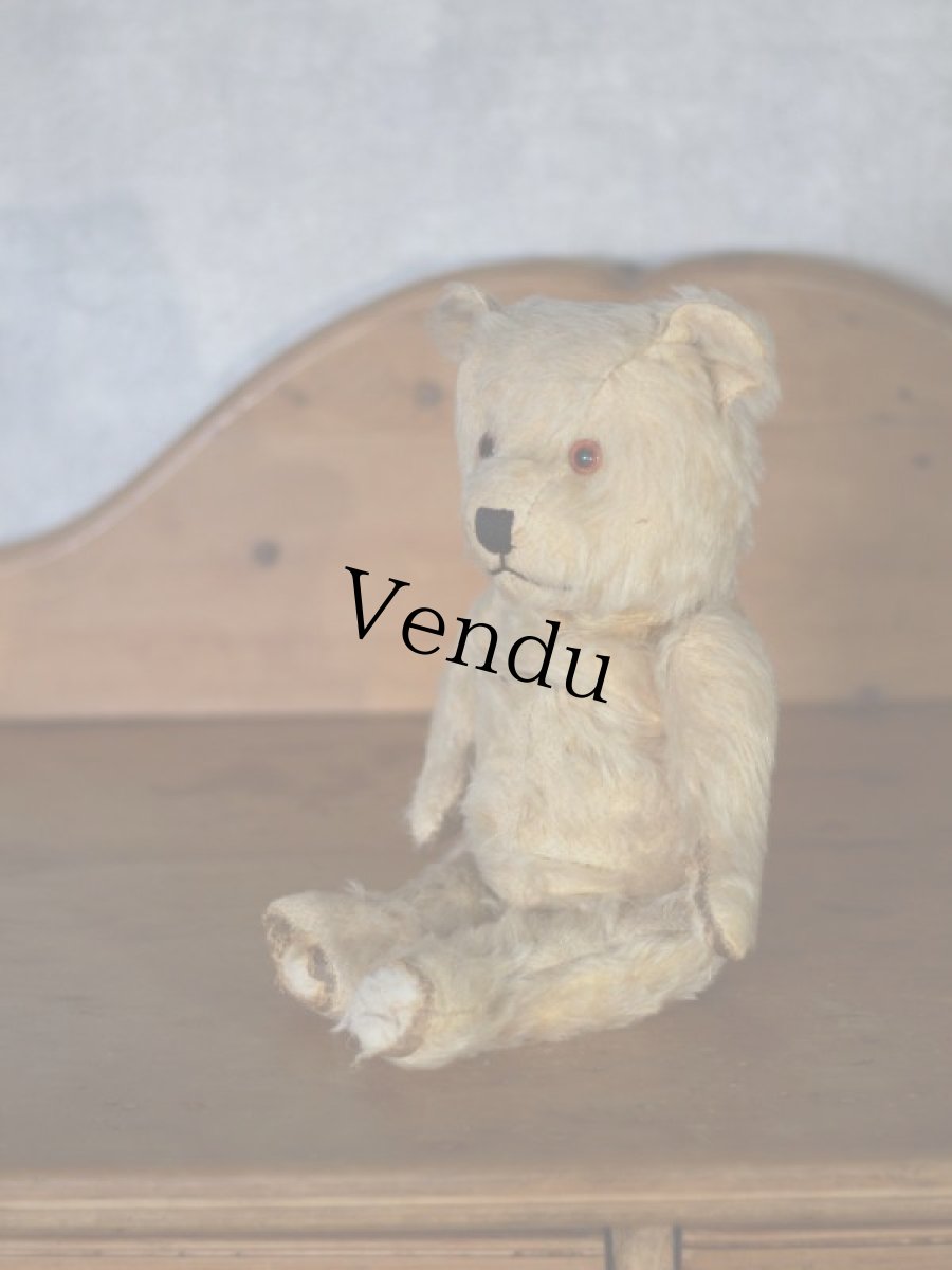 画像5: チルターン アンティーク ベア/British Chiltern  (5)