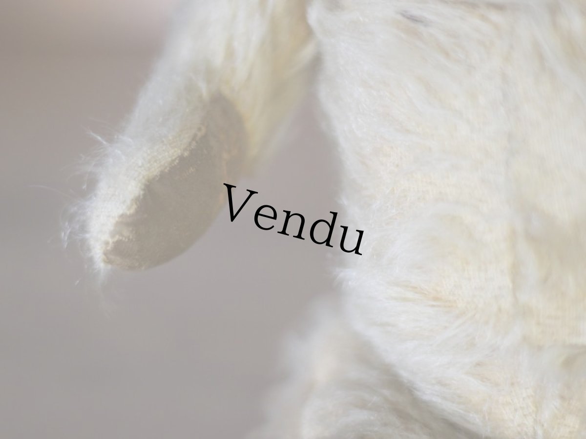 画像9: チルターン アンティーク ベア/British Chiltern  (9)