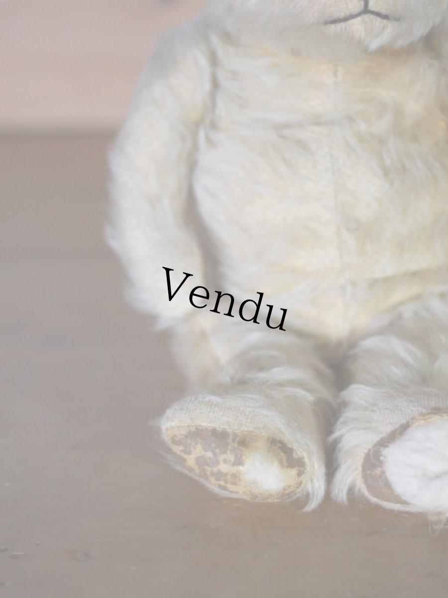 画像7: チルターン アンティーク ベア/British Chiltern  (7)