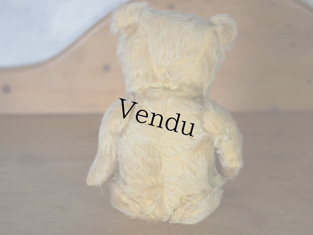 画像11: チルターン アンティーク ベア/British Chiltern  (11)