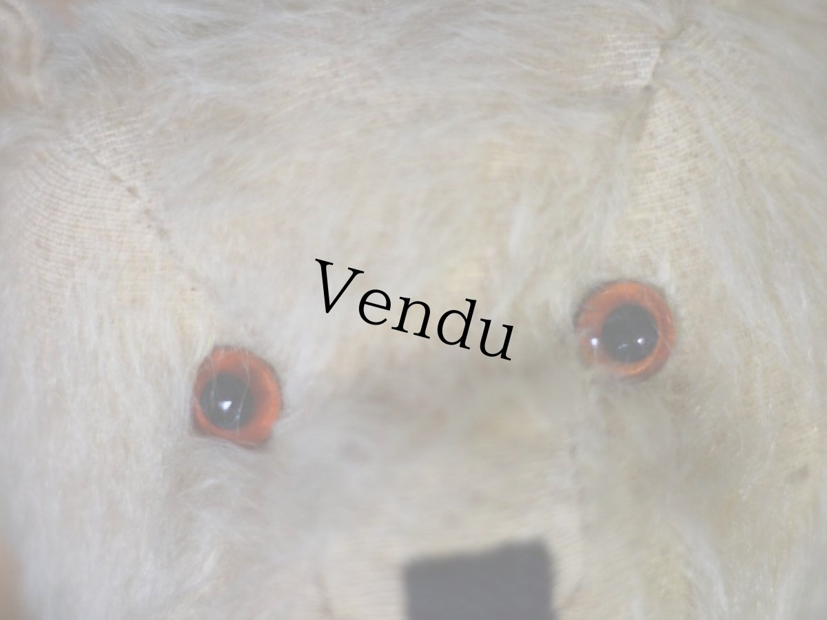 画像4: チルターン アンティーク ベア/British Chiltern  (4)