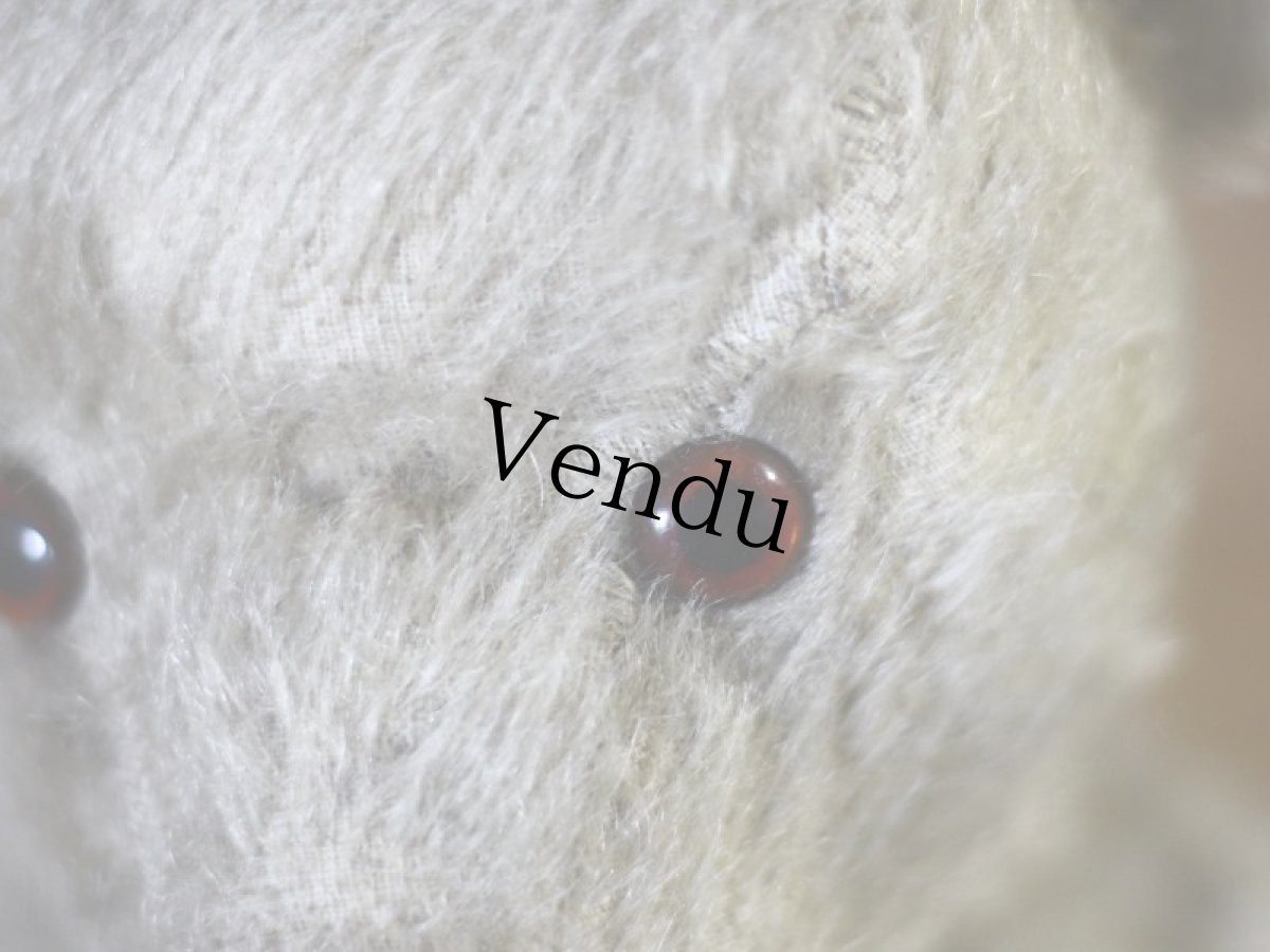 画像4: チルターン アンティーク ベア/British Chiltern＊ (4)