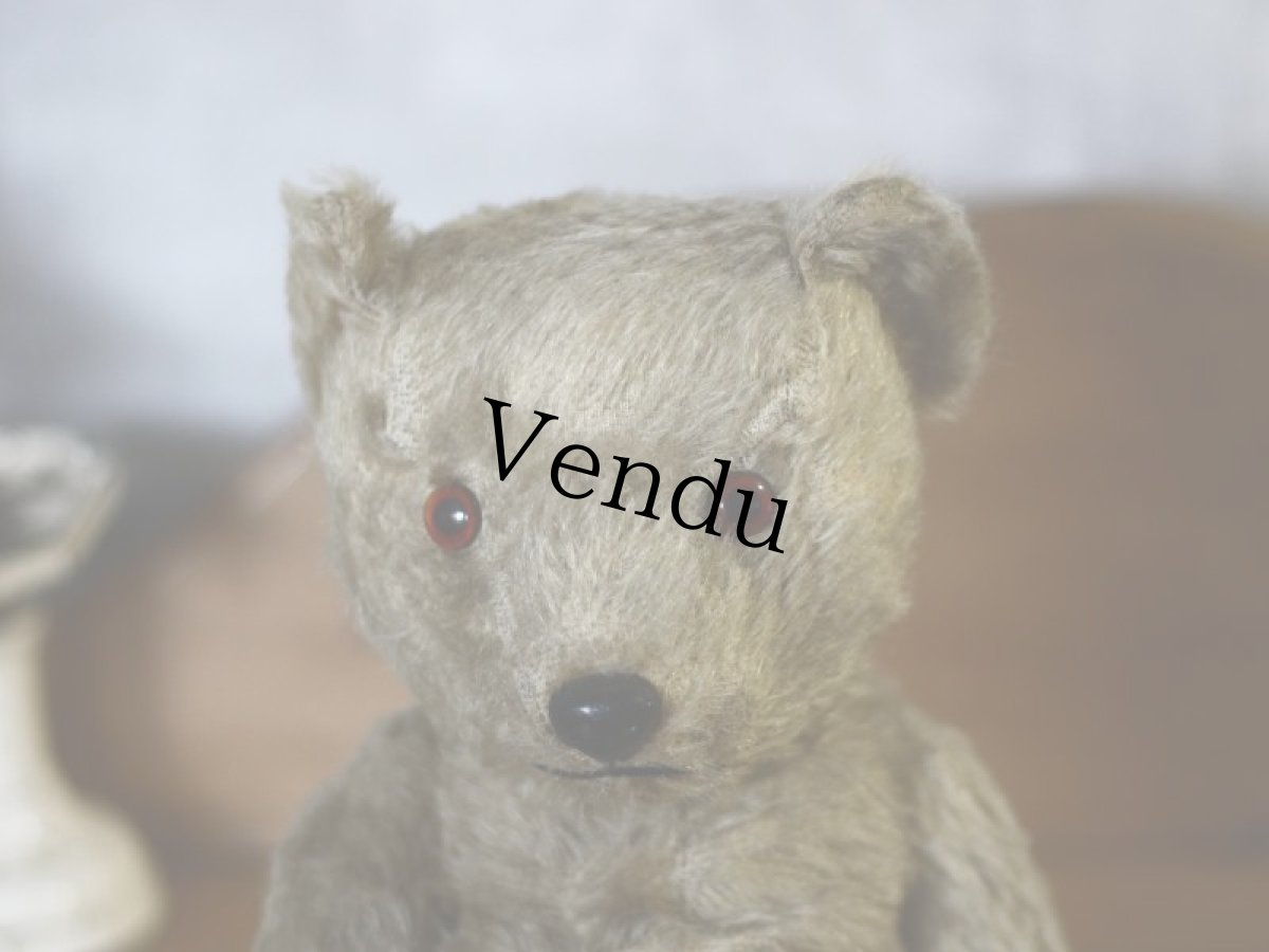 画像2: チルターン アンティーク ベア/British Chiltern＊ (2)