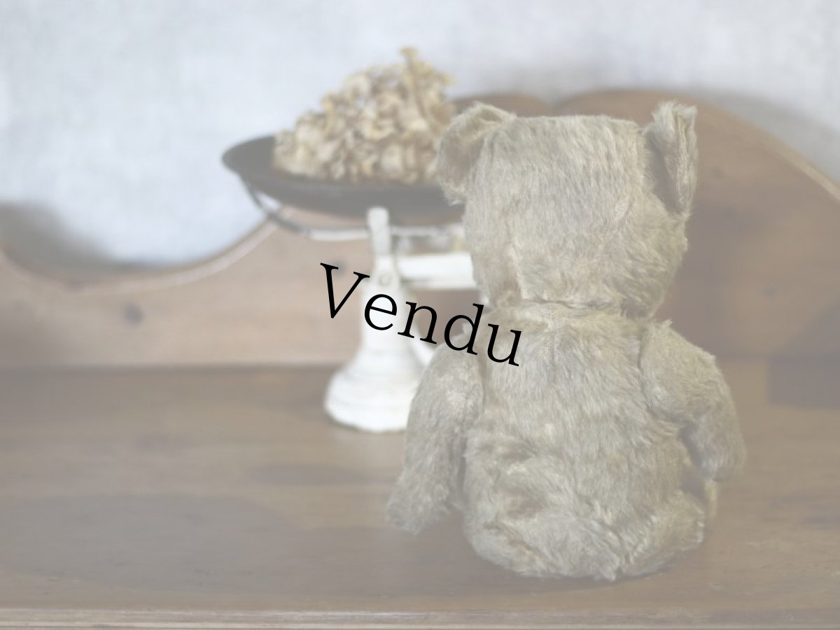 画像11: チルターン アンティーク ベア/British Chiltern＊ (11)