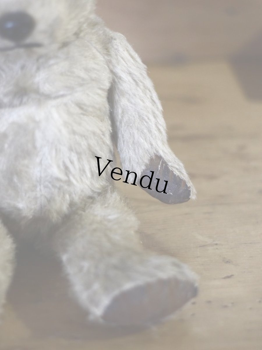 画像10: チルターン アンティーク ベア/British Chiltern＊ (10)