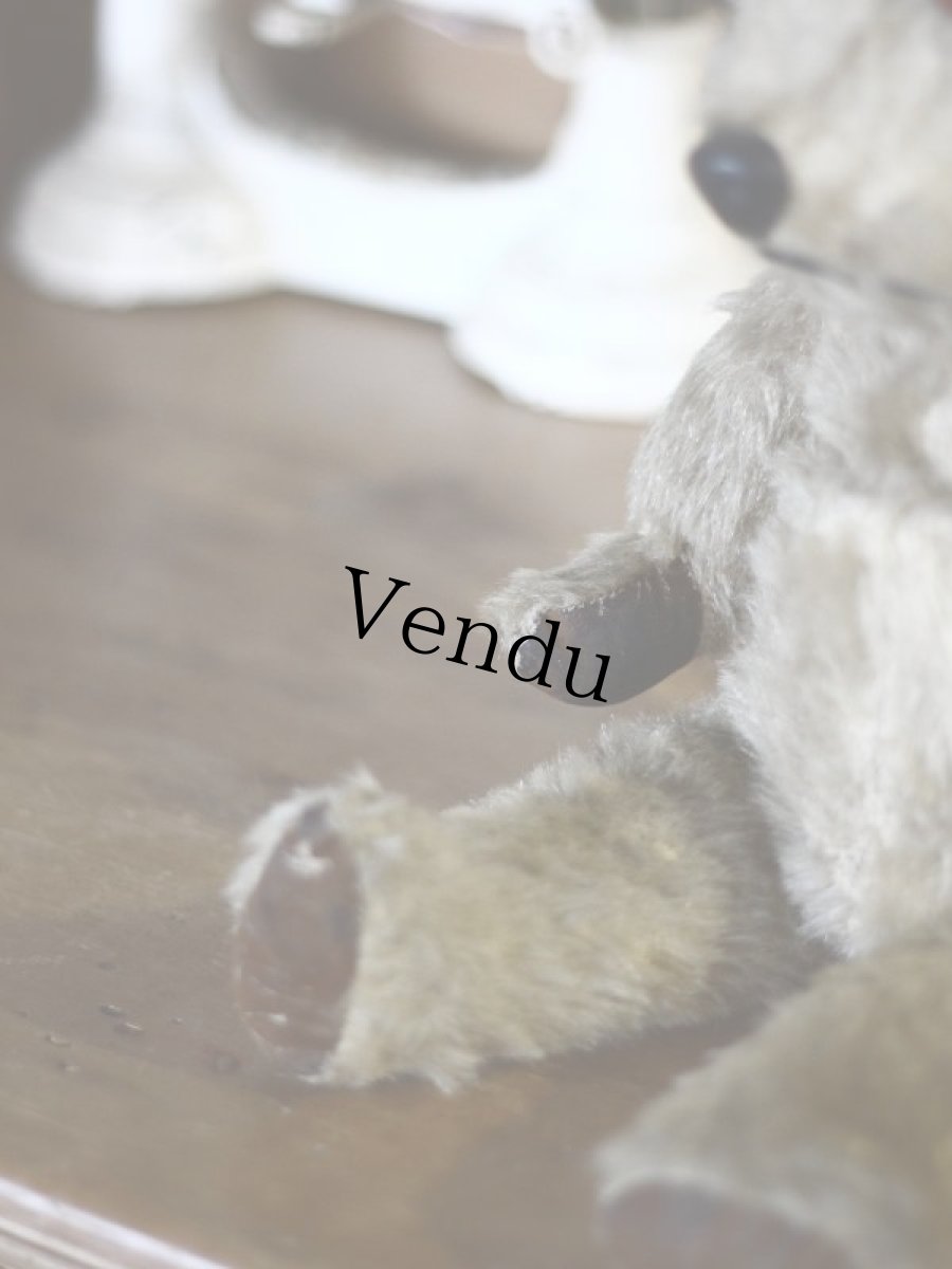 画像9: チルターン アンティーク ベア/British Chiltern＊ (9)