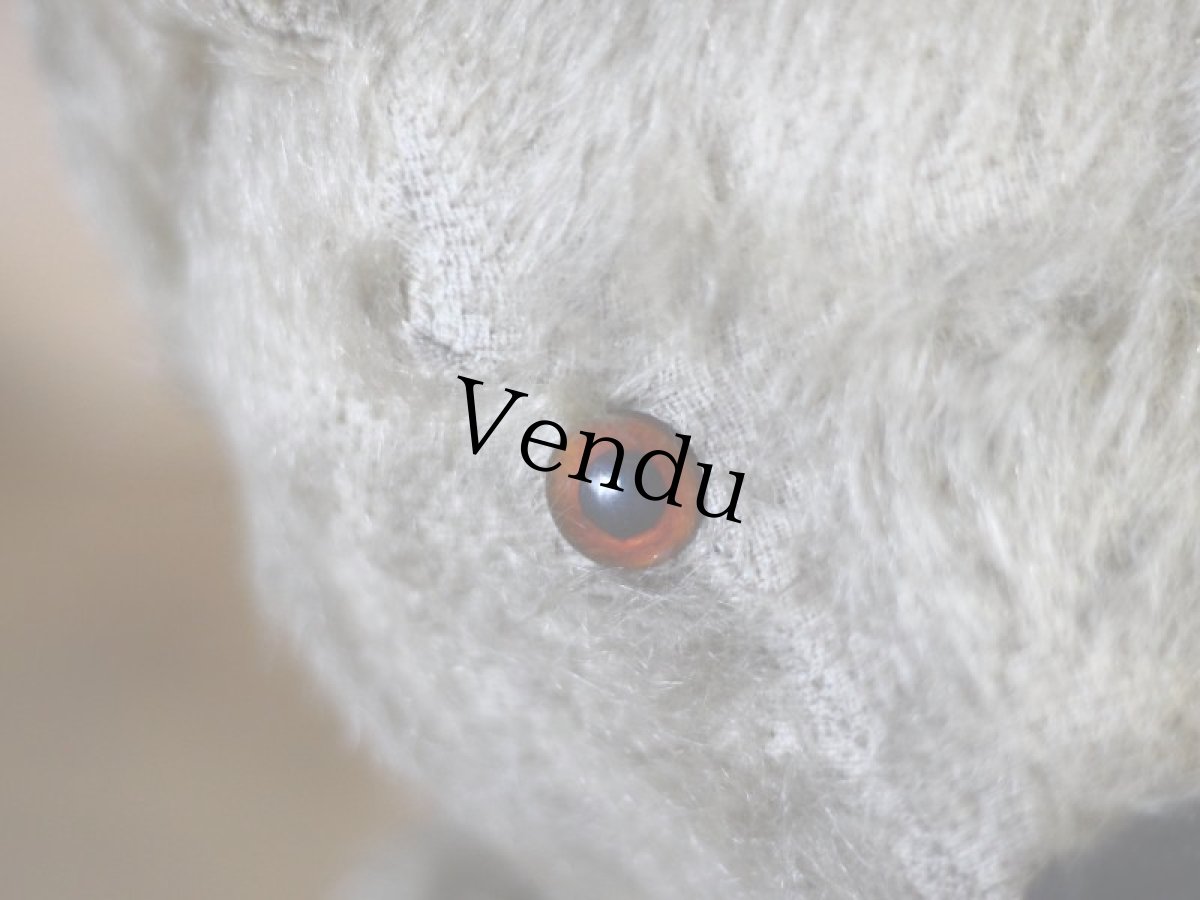 画像3: チルターン アンティーク ベア/British Chiltern＊ (3)