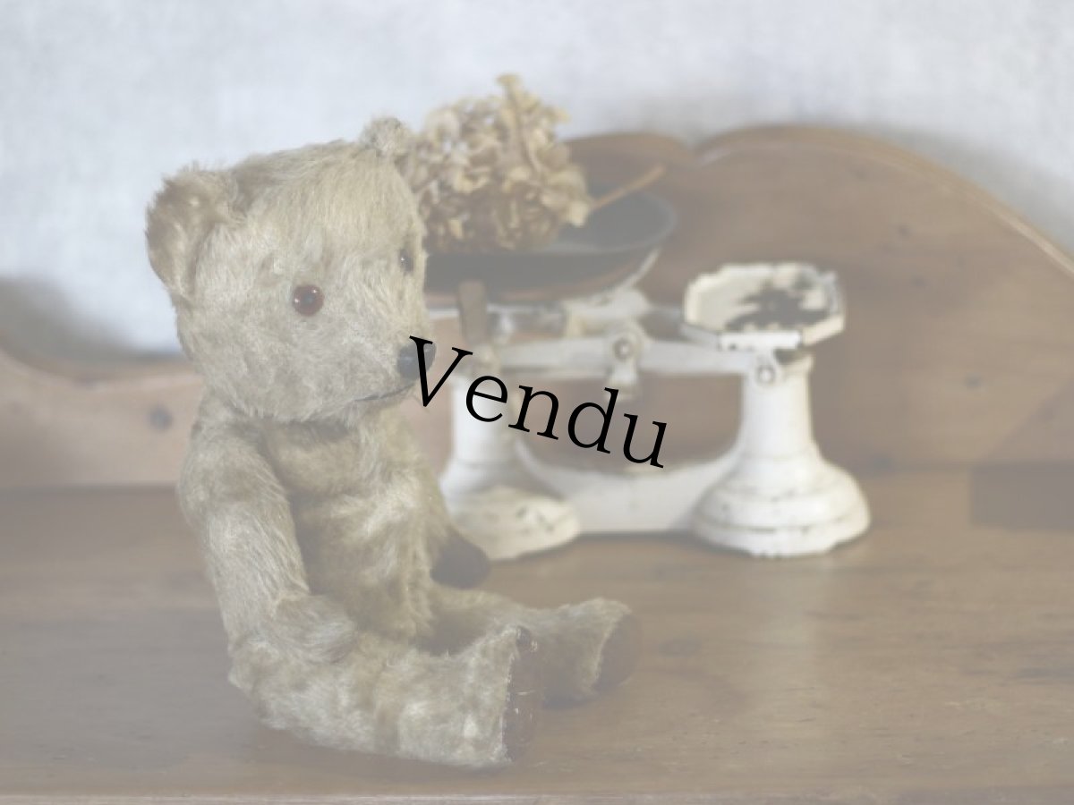 画像5: チルターン アンティーク ベア/British Chiltern＊ (5)