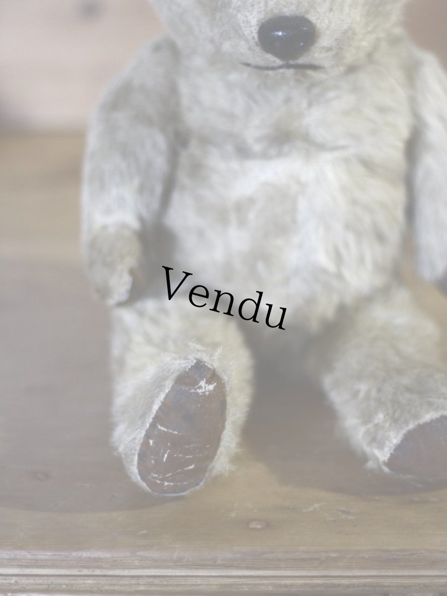 画像7: チルターン アンティーク ベア/British Chiltern＊ (7)