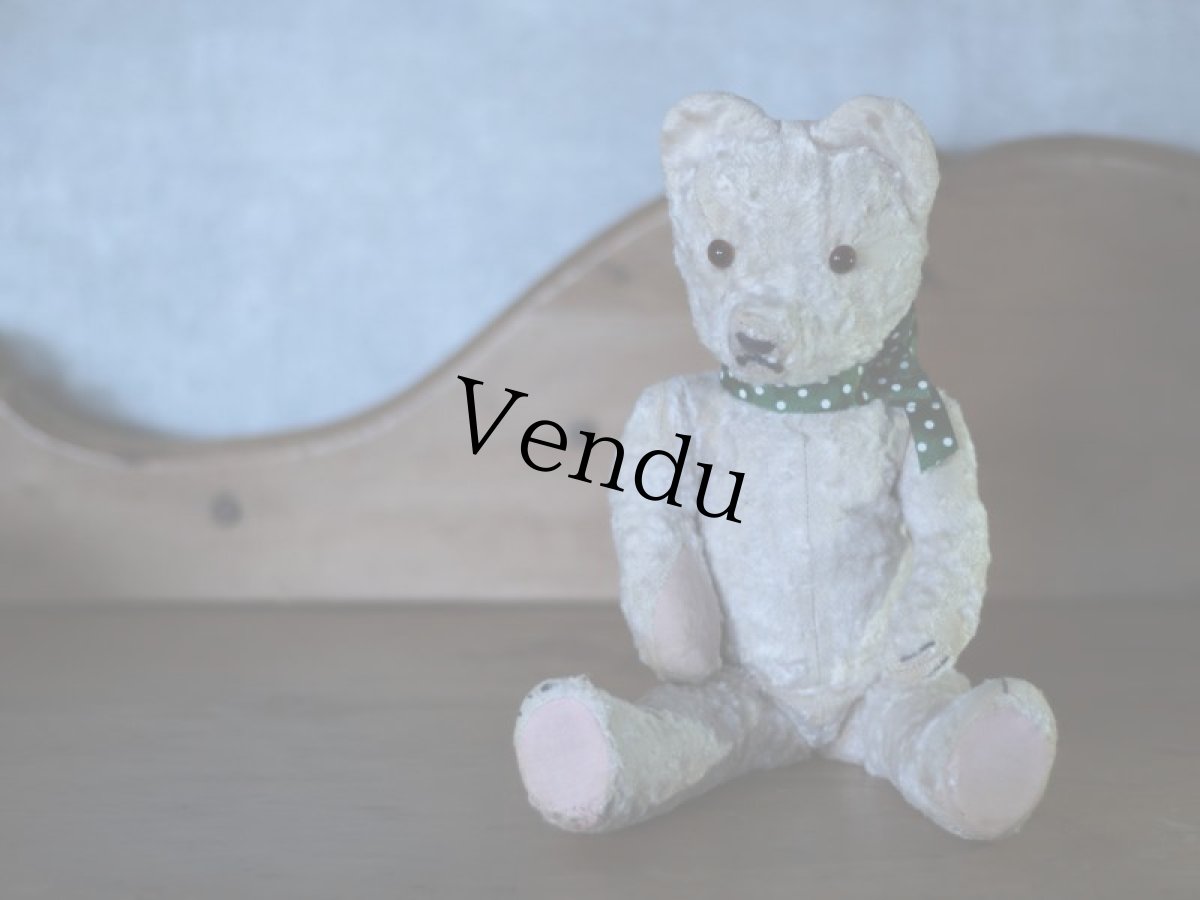 画像1: ハンガリアン アンティークベア/Hungarain＊ (1)