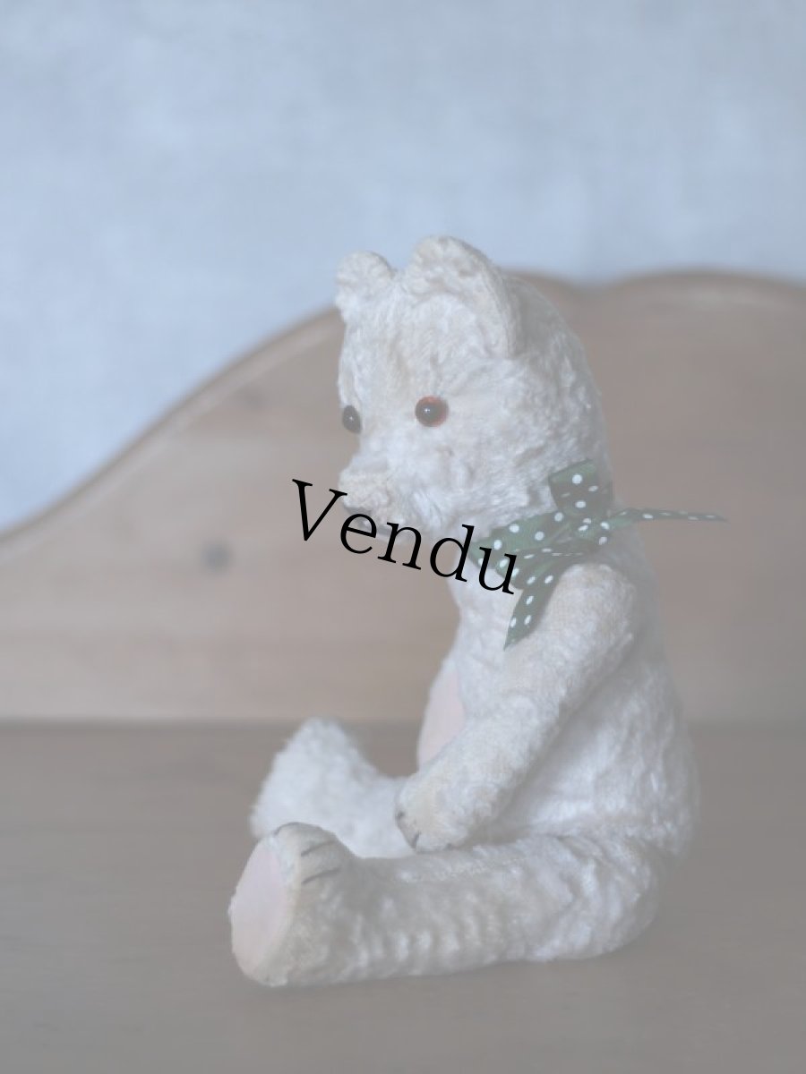 画像9: ハンガリアン アンティークベア/Hungarain＊ (9)