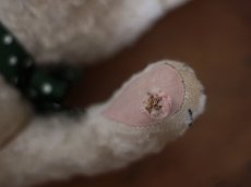 画像13: ハンガリアン アンティークベア/Hungarain＊ (13)