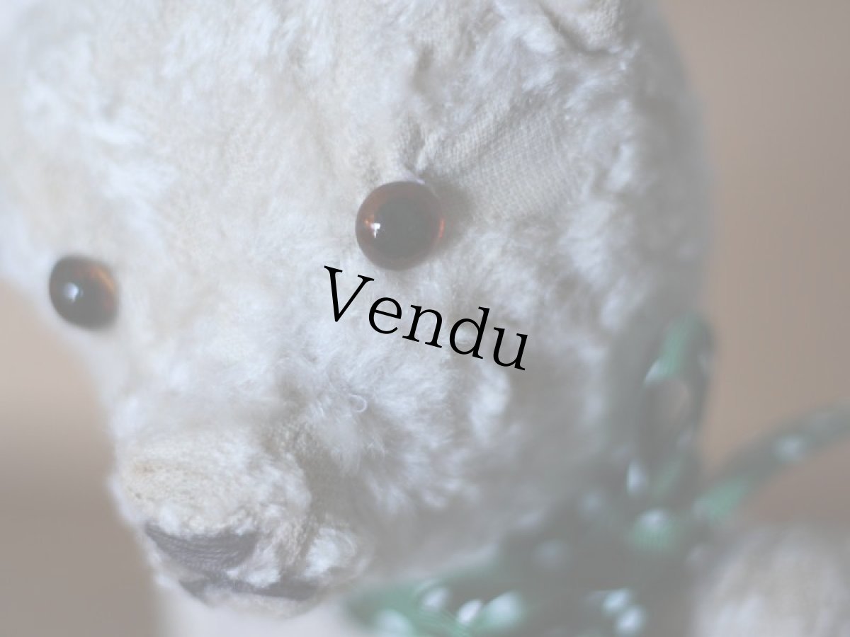 画像2: ハンガリアン アンティークベア/Hungarain＊ (2)