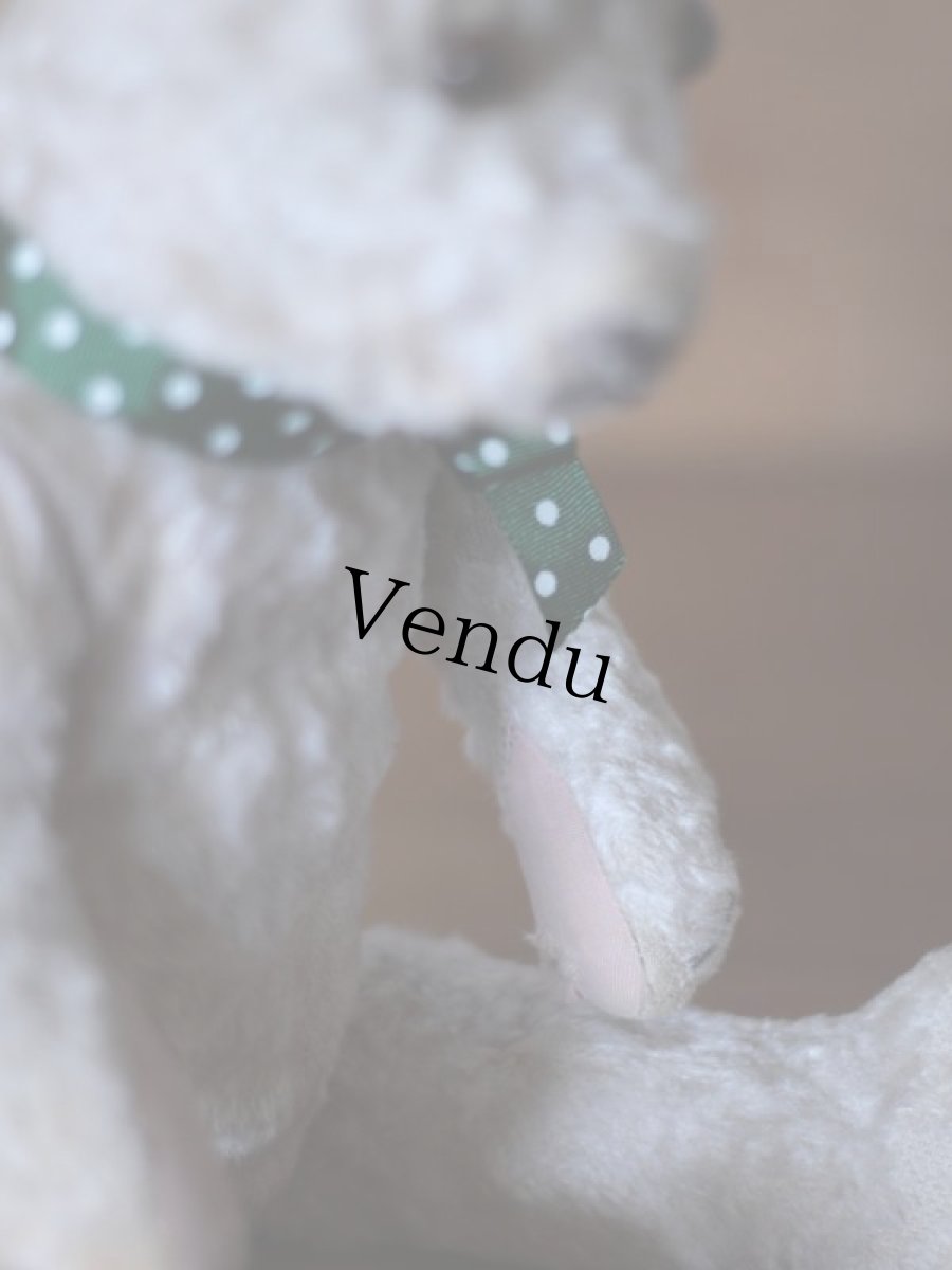 画像7: ハンガリアン アンティークベア/Hungarain＊ (7)