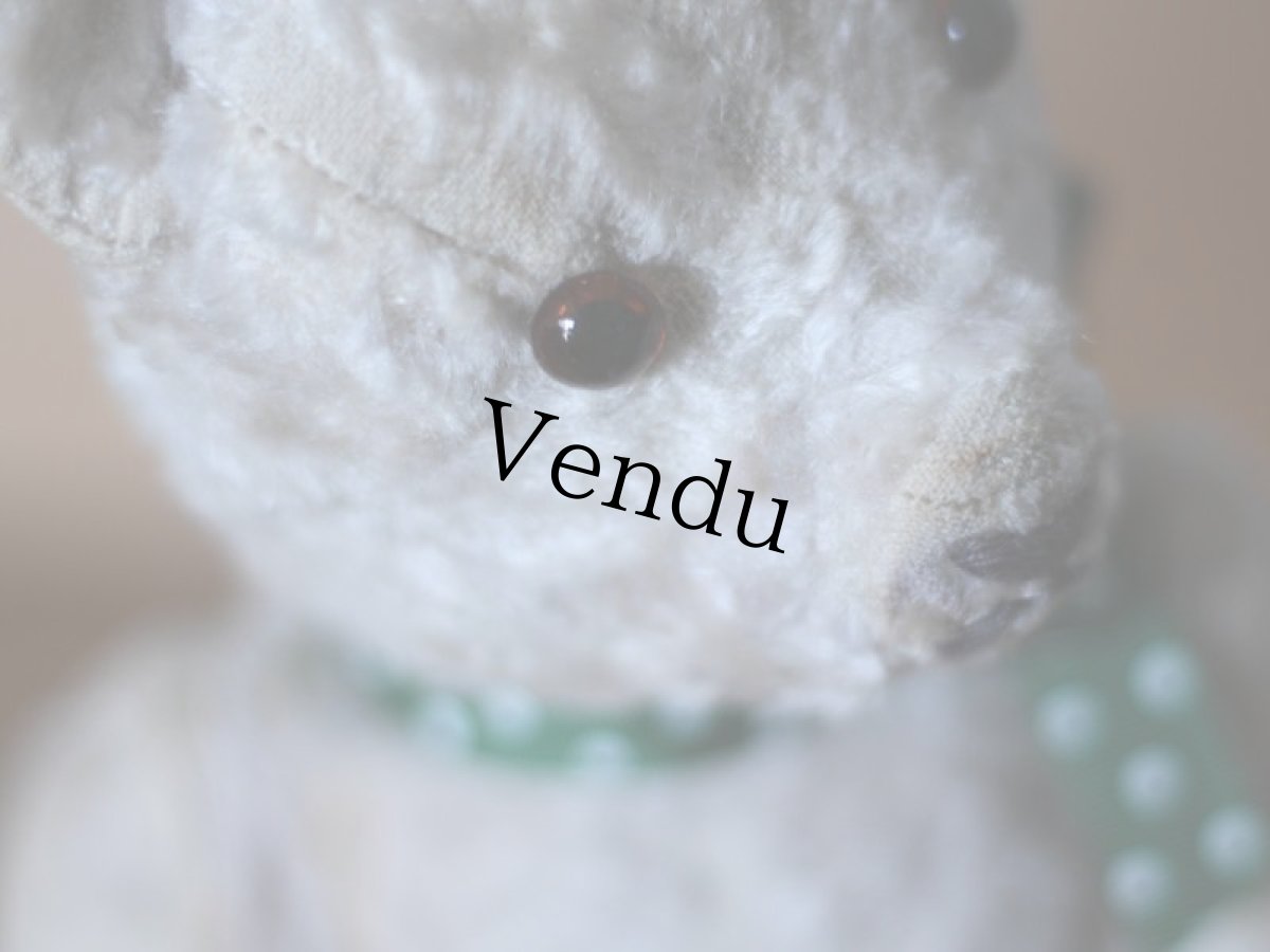 画像3: ハンガリアン アンティークベア/Hungarain＊ (3)