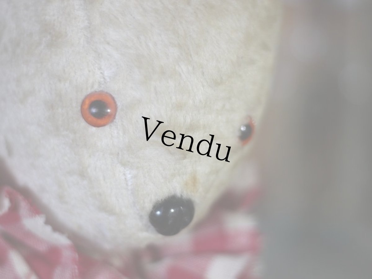 画像6: フレンチ アンティークラビット/French (6)