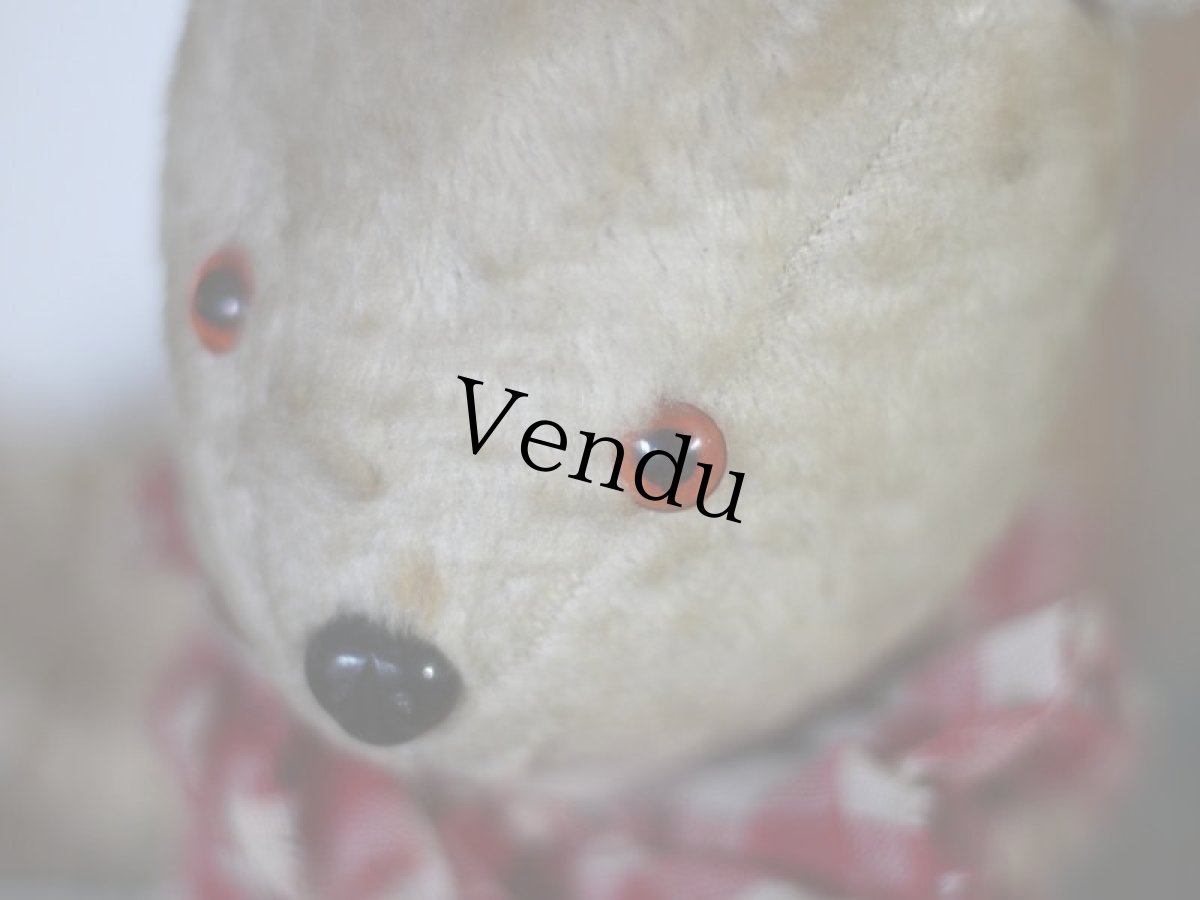 画像7: フレンチ アンティークラビット/French (7)