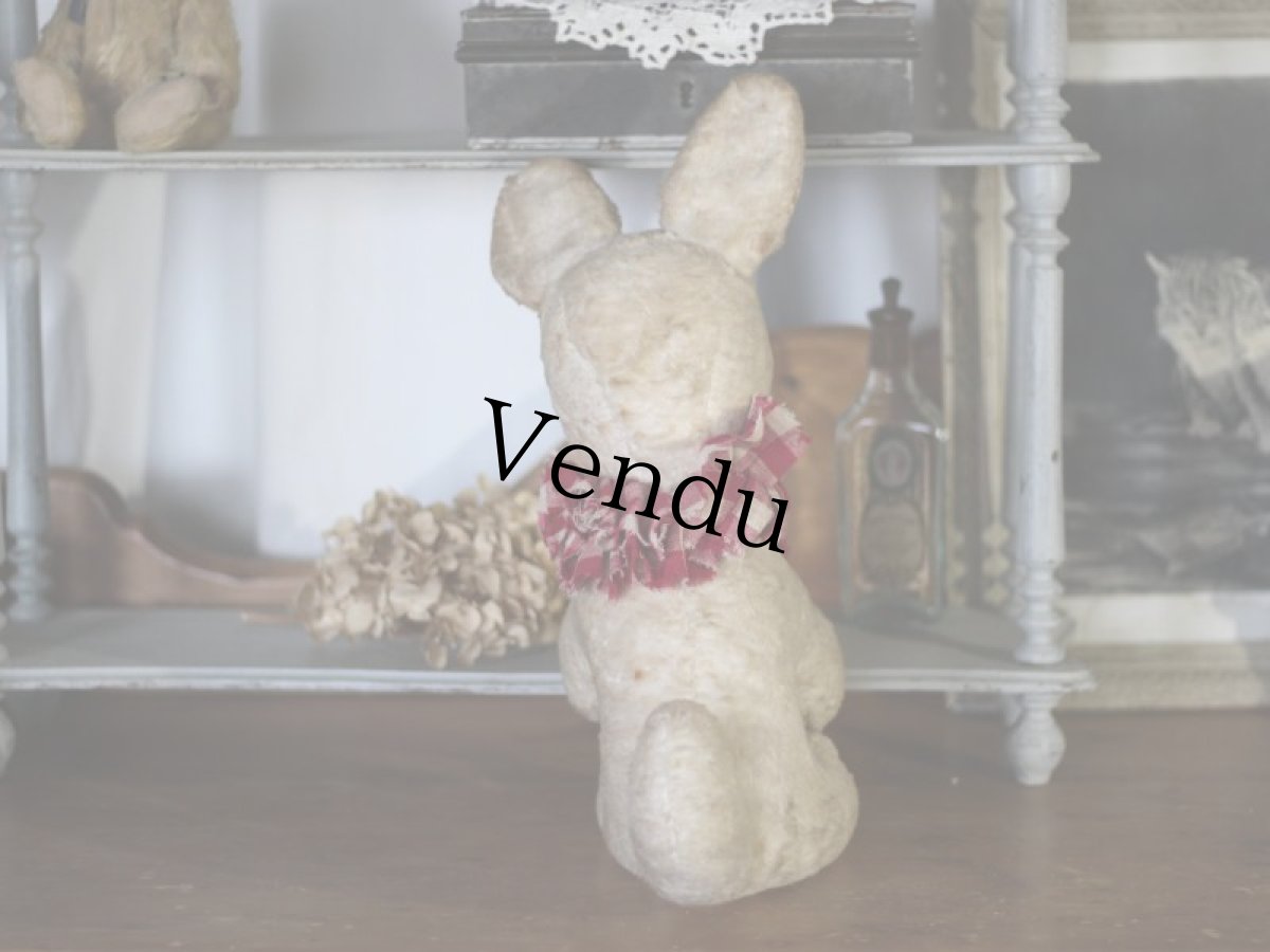 画像4: フレンチ アンティークラビット/French (4)