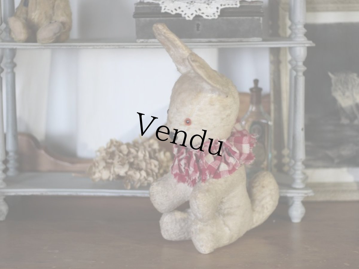 画像3: フレンチ アンティークラビット/French (3)