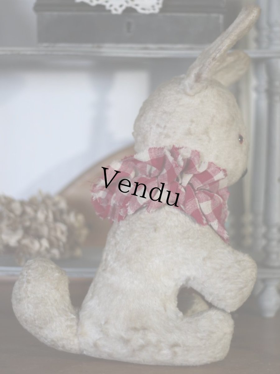 画像8: フレンチ アンティークラビット/French (8)