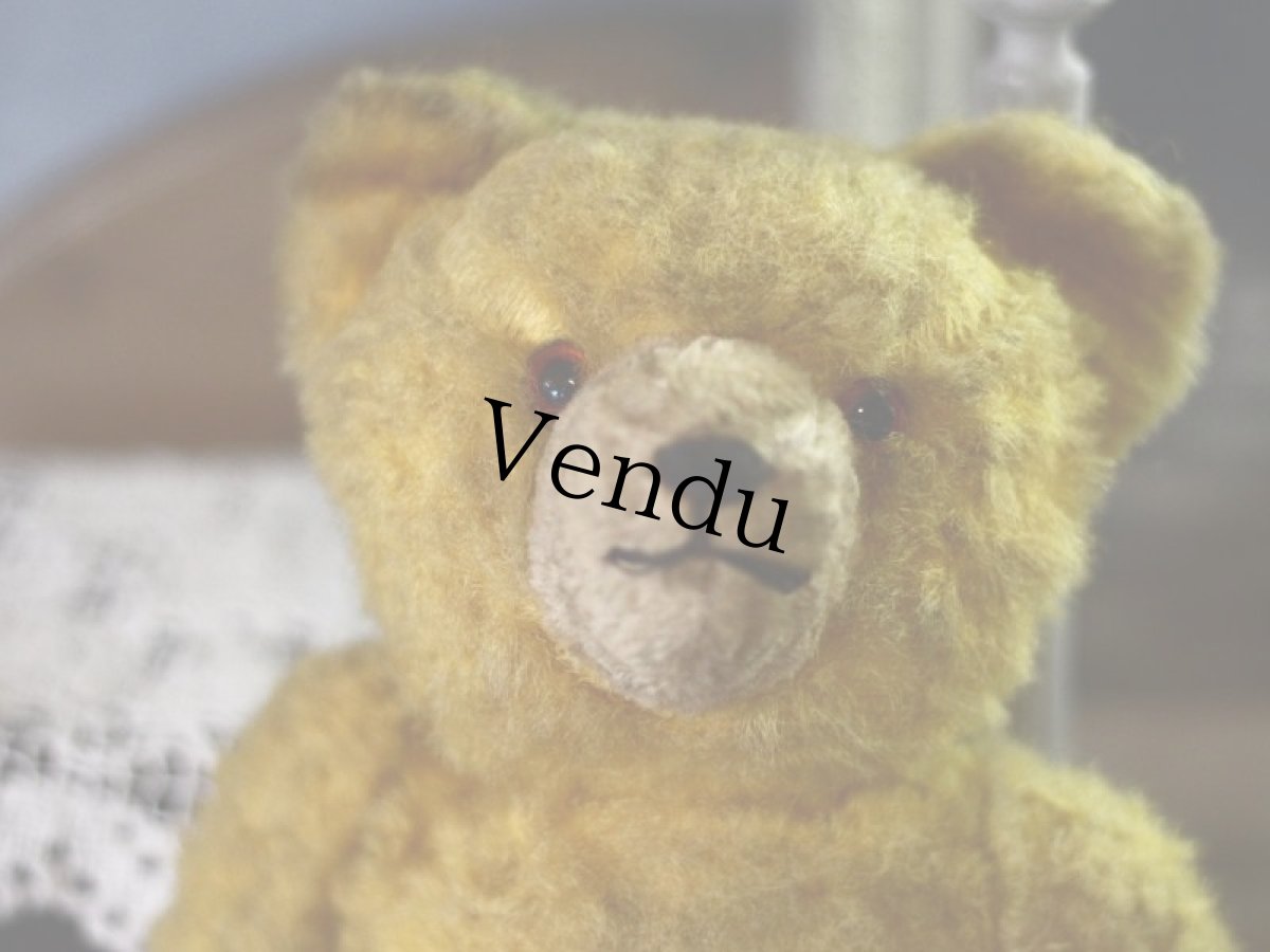 画像2: アンティークベア (2)