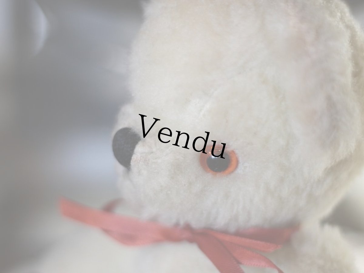 画像11: Pedigree Bear/British＊ (11)