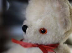 画像11: Pedigree Bear/British＊ (11)