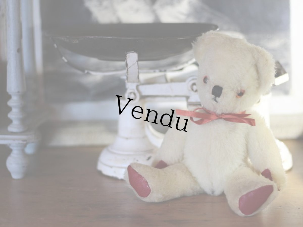 画像1: Pedigree Bear/British＊ (1)