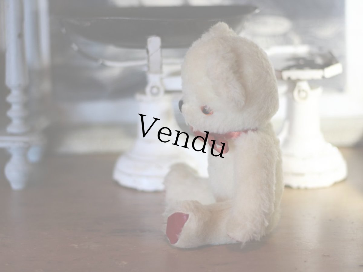 画像4: Pedigree Bear/British＊ (4)