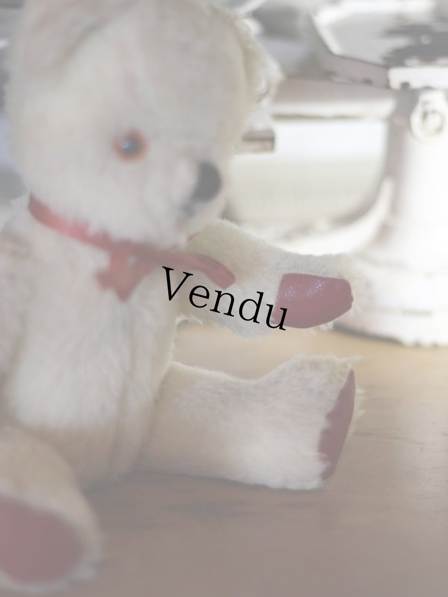 画像8: Pedigree Bear/British＊ (8)