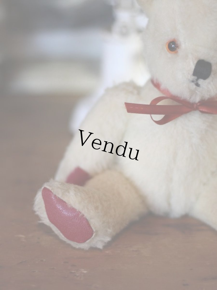 画像6: Pedigree Bear/British＊ (6)