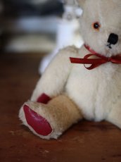 画像6: Pedigree Bear/British＊ (6)