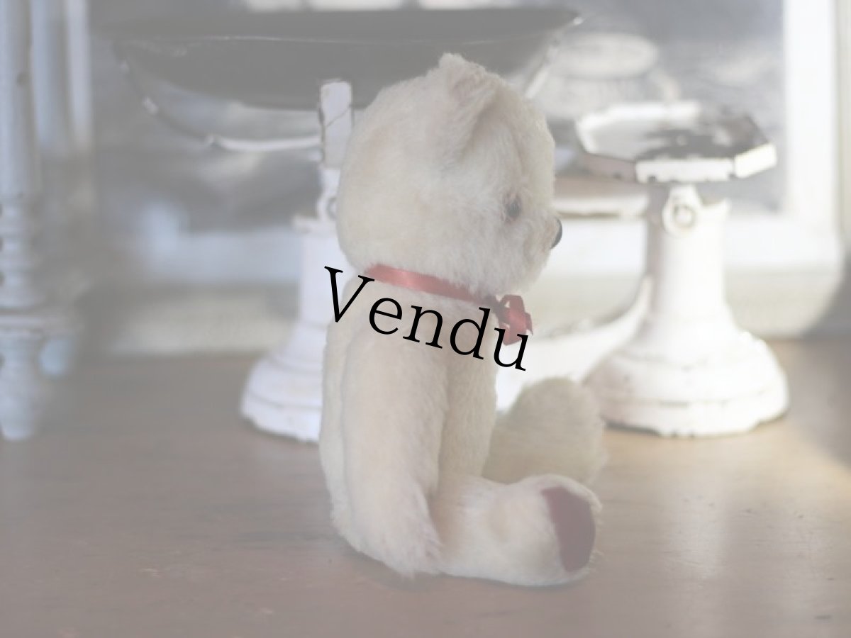 画像3: Pedigree Bear/British＊ (3)