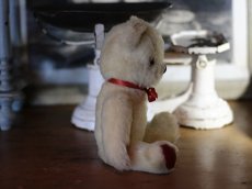 画像3: Pedigree Bear/British＊ (3)