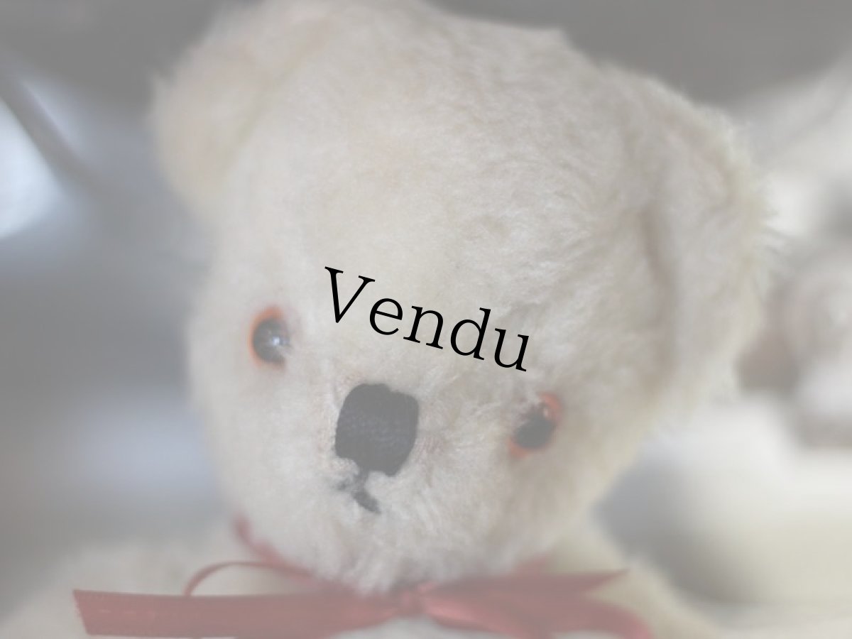 画像2: Pedigree Bear/British＊ (2)