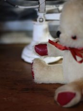 画像9: Pedigree Bear/British＊ (9)
