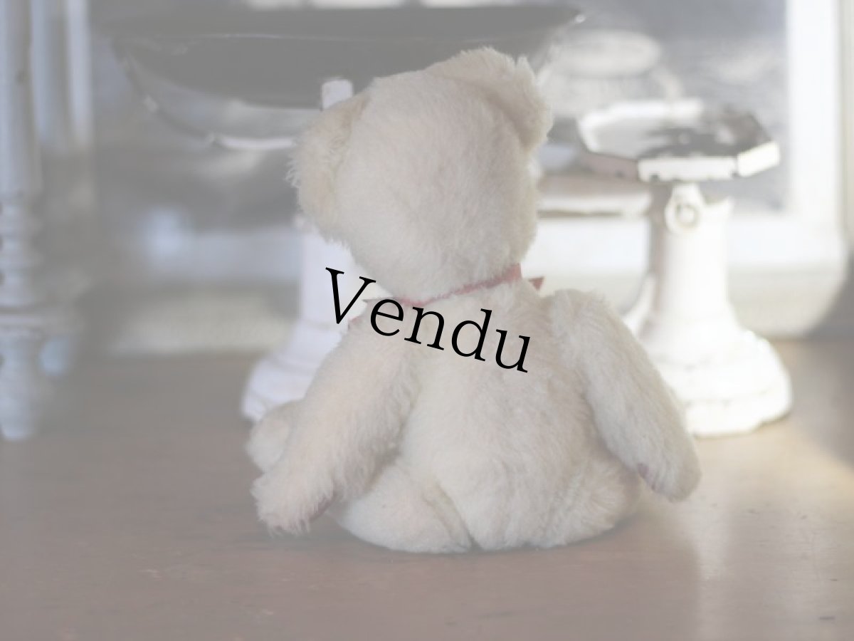 画像5: Pedigree Bear/British＊ (5)