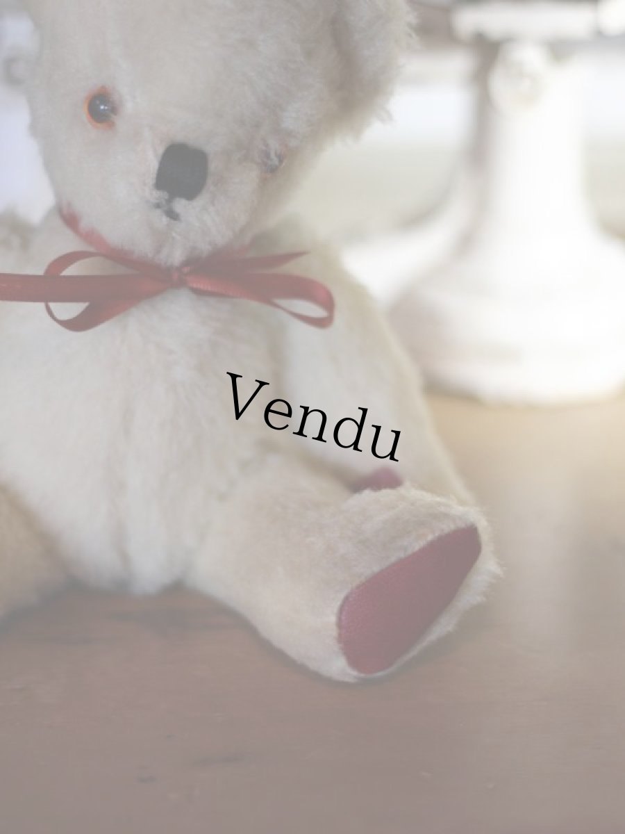 画像7: Pedigree Bear/British＊ (7)