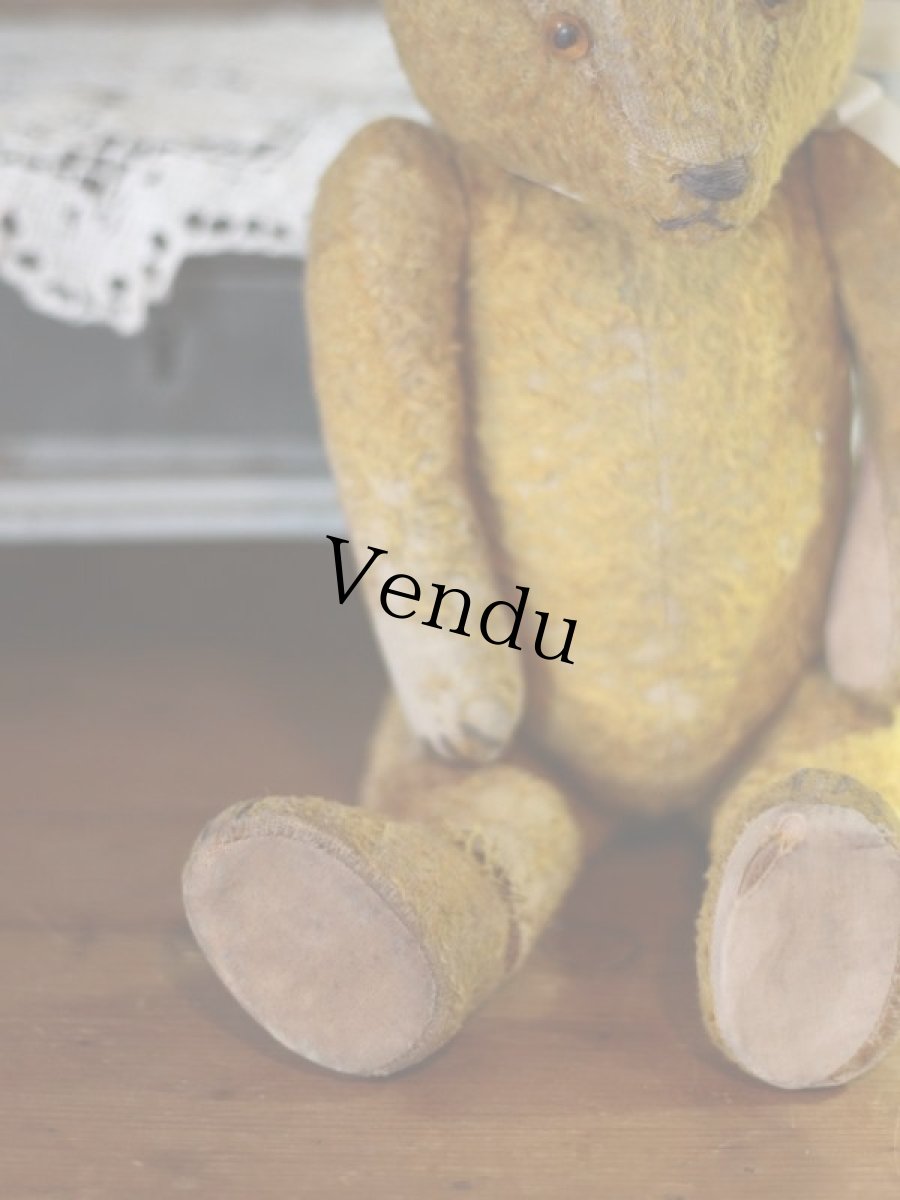 画像6: Antique Bear 14in (6)
