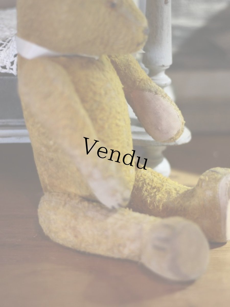 画像8: Antique Bear 14in (8)