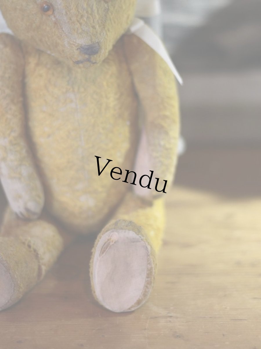 画像7: Antique Bear 14in (7)