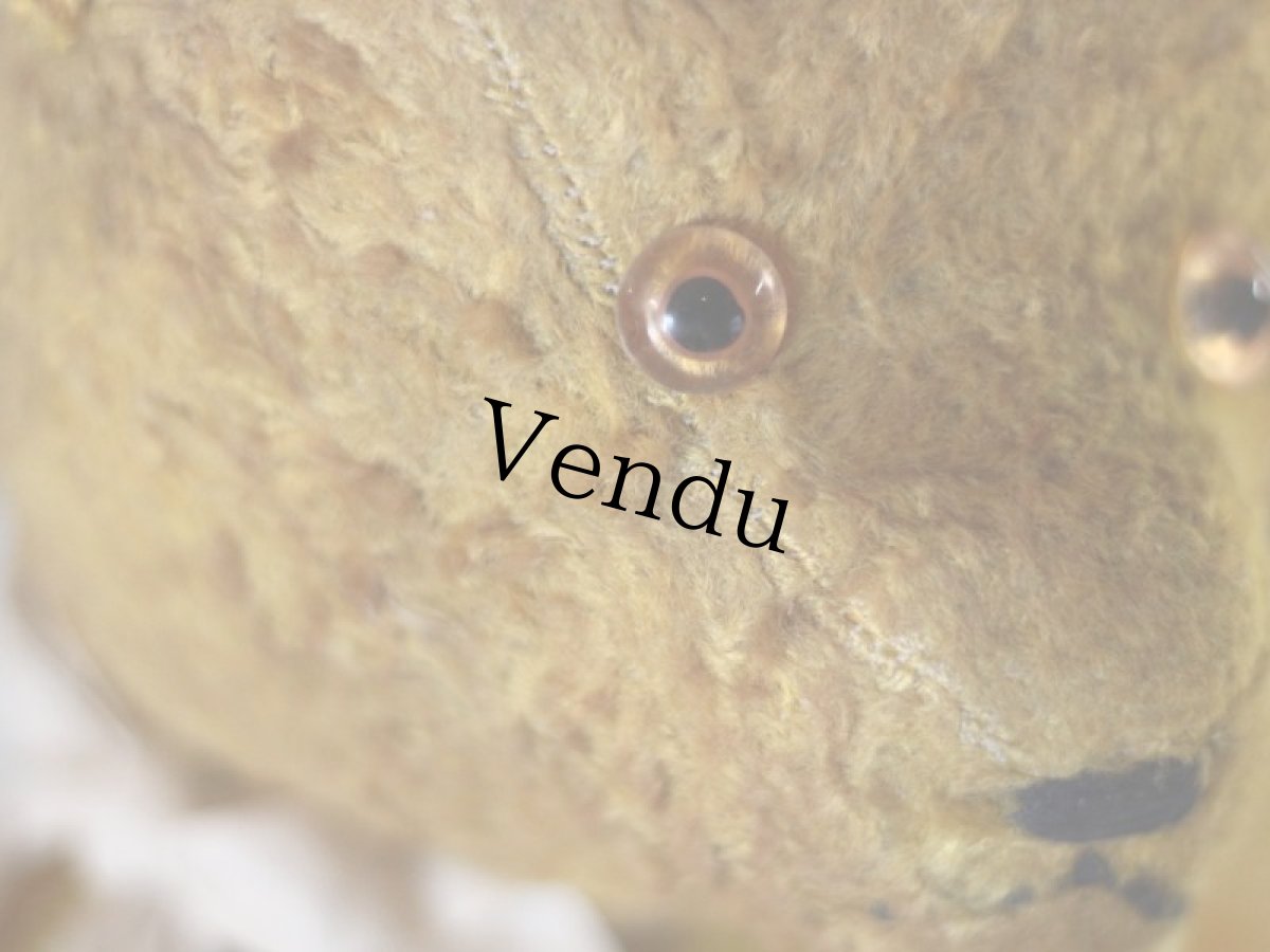 画像9: Antique Bear ＊ (9)