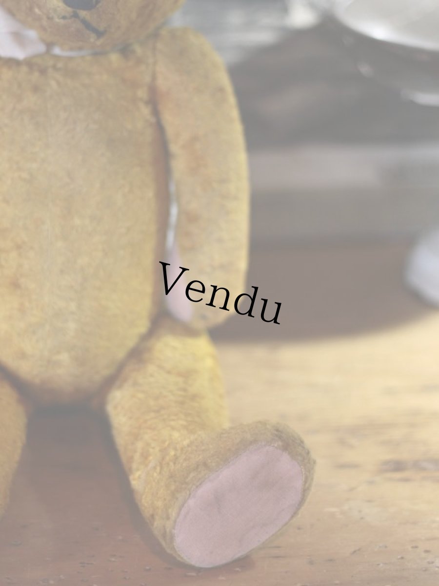 画像5: Antique Bear ＊ (5)