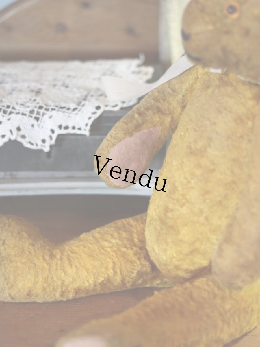 画像6: Antique Bear ＊ (6)