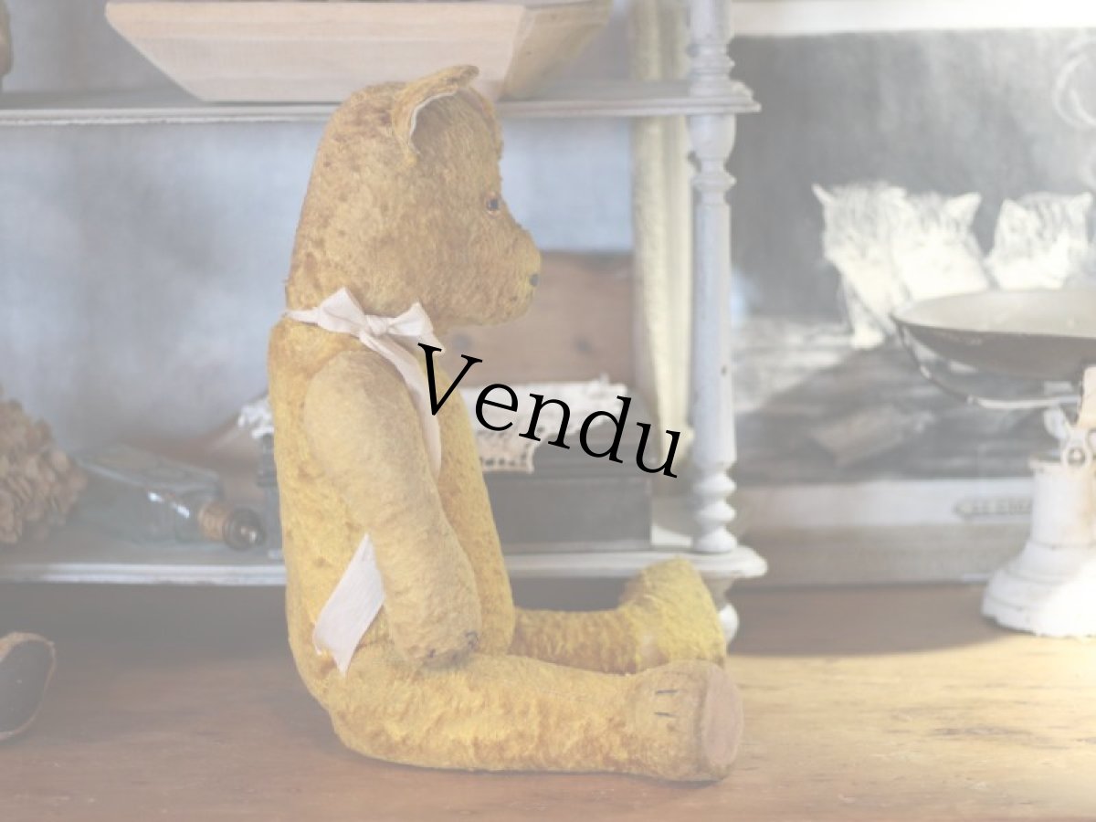 画像2: Antique Bear ＊ (2)