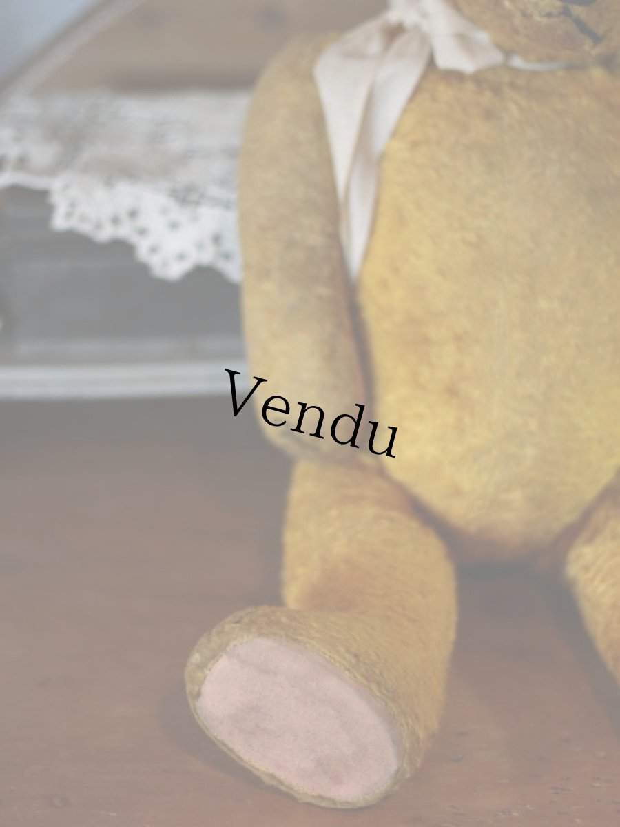 画像4: Antique Bear ＊ (4)