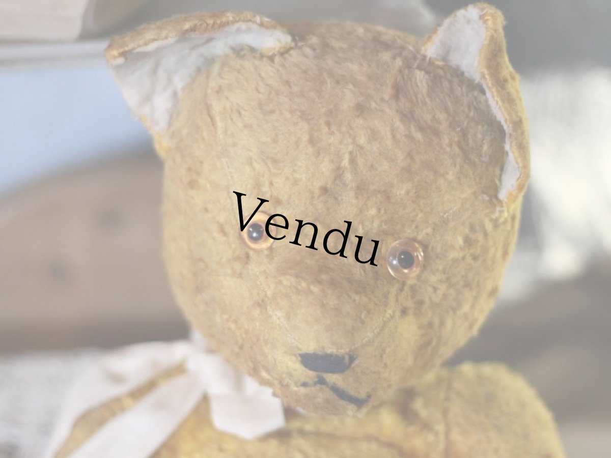 画像8: Antique Bear ＊ (8)