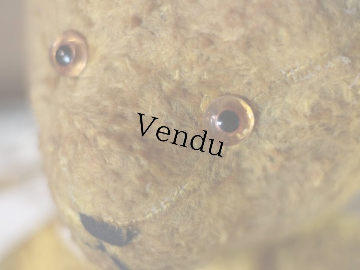 画像10: Antique Bear ＊ (10)