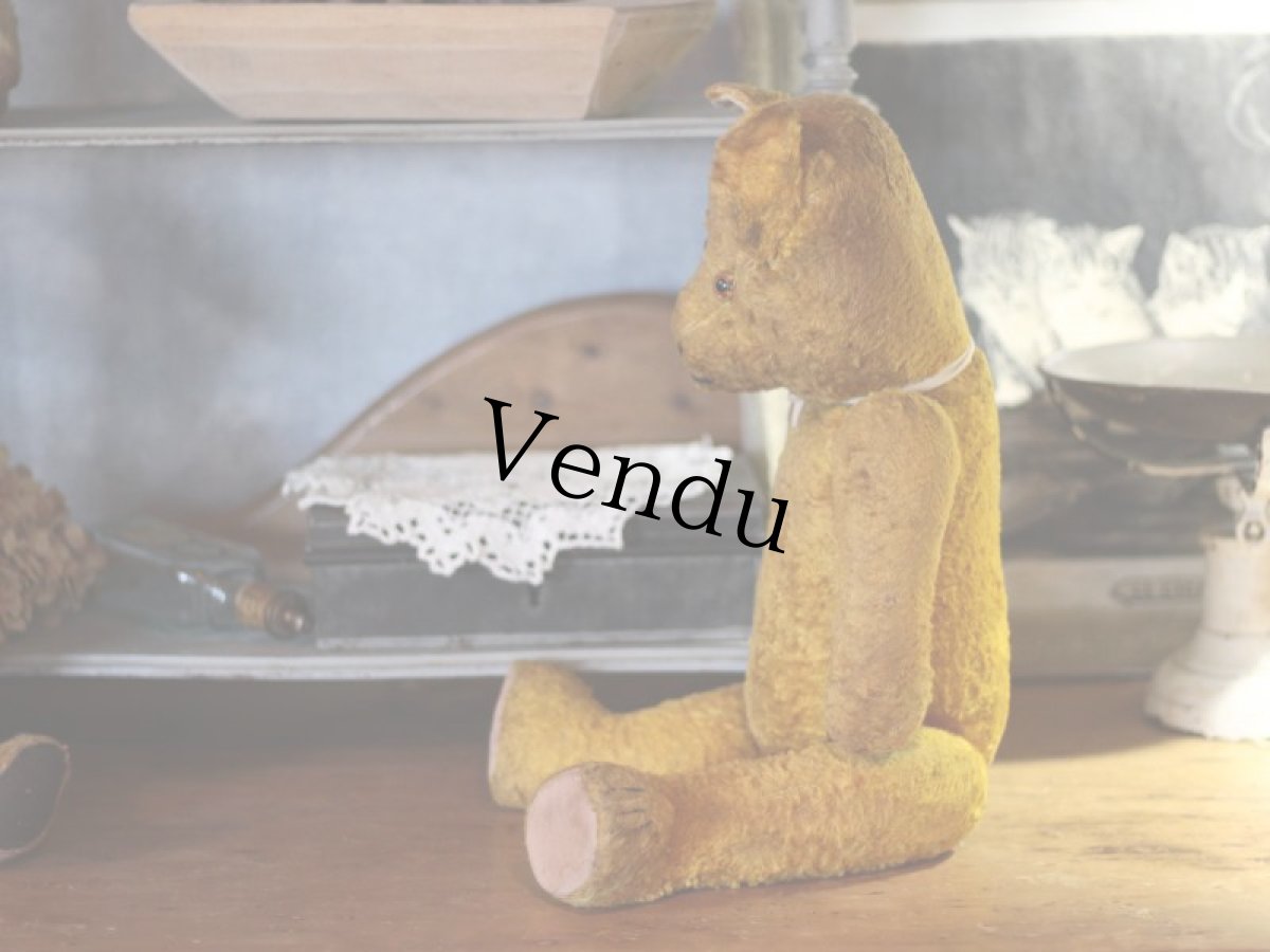 画像3: Antique Bear ＊ (3)