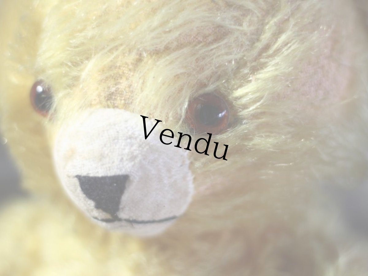 画像9: Knickerbocker オルゴールBear/American (9)